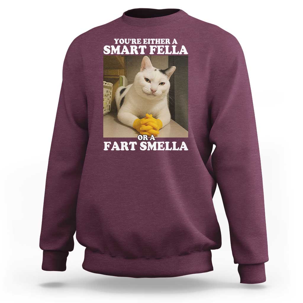 Funny Cat Meme Sweatshirt You Are Either A Smart Fella Or A Fart Smella - Wonder Print Shop