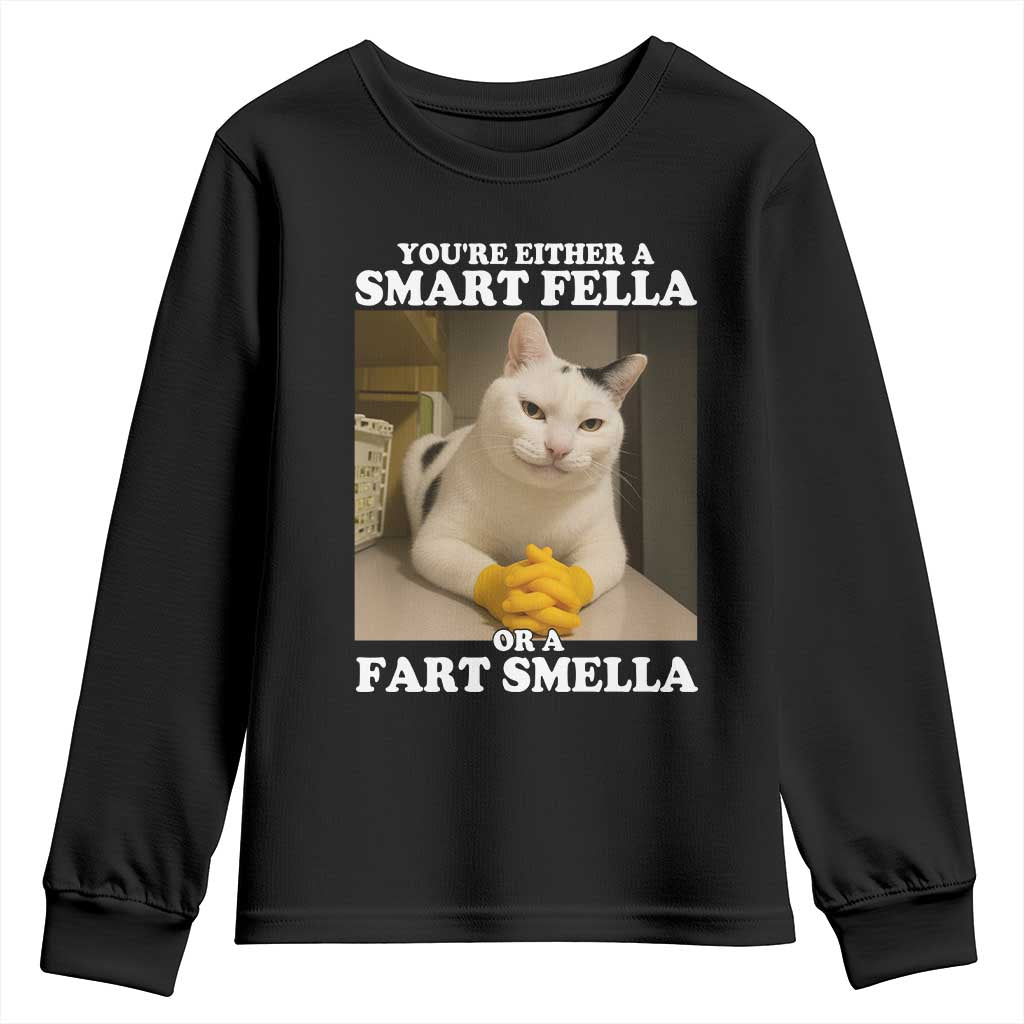 Funny Cat Meme Youth Sweatshirt You Are Either A Smart Fella Or A Fart Smella - Wonder Print Shop