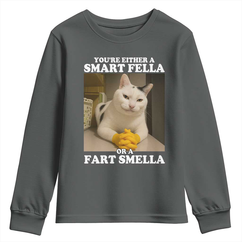 Funny Cat Meme Youth Sweatshirt You Are Either A Smart Fella Or A Fart Smella - Wonder Print Shop