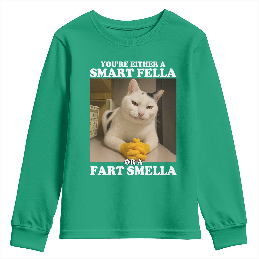 Funny Cat Meme Youth Sweatshirt You Are Either A Smart Fella Or A Fart Smella - Wonder Print Shop