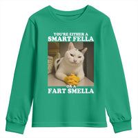 Funny Cat Meme Youth Sweatshirt You Are Either A Smart Fella Or A Fart Smella - Wonder Print Shop