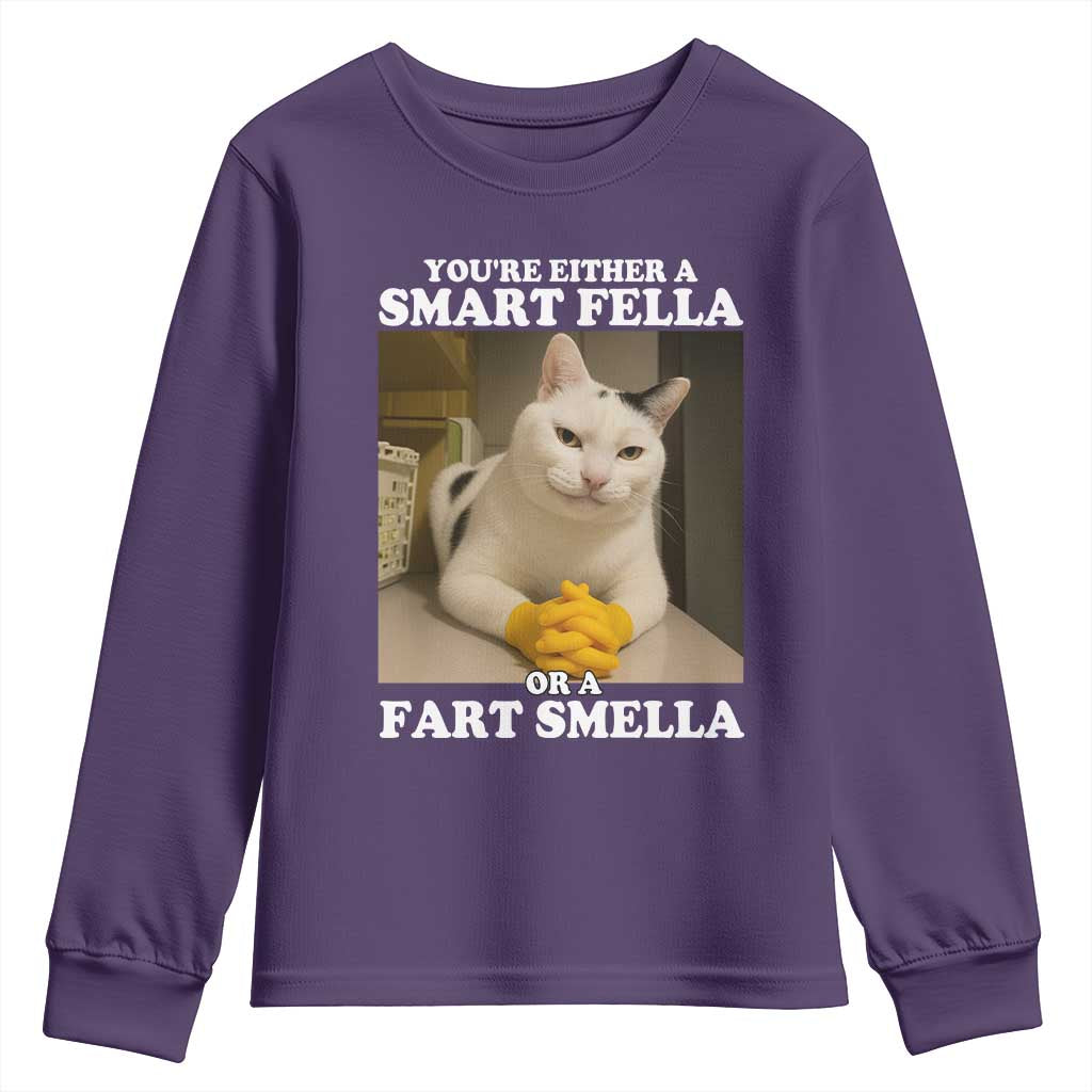 Funny Cat Meme Youth Sweatshirt You Are Either A Smart Fella Or A Fart Smella - Wonder Print Shop
