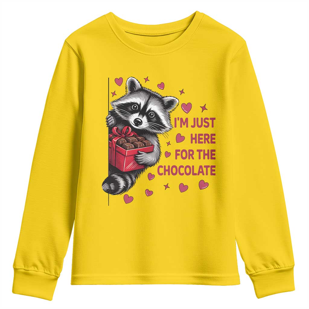 Valentine Racoon Trash Panda Youth Sweatshirt I'm Just Here For The Chocolate