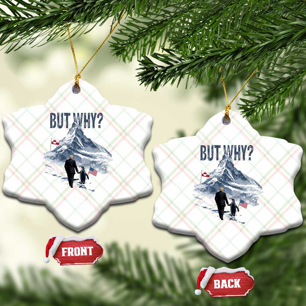 But Why Penguin Ceramic Ornament Head Towards The Mountains Penguin Meme