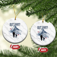 But Why Penguin Ceramic Ornament Head Towards The Mountains Penguin Meme