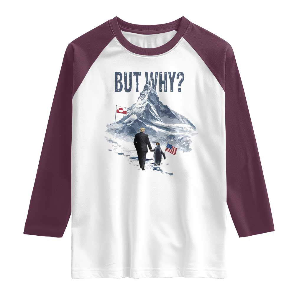 But Why Penguin Raglan Shirt Head Towards The Mountains Penguin Meme