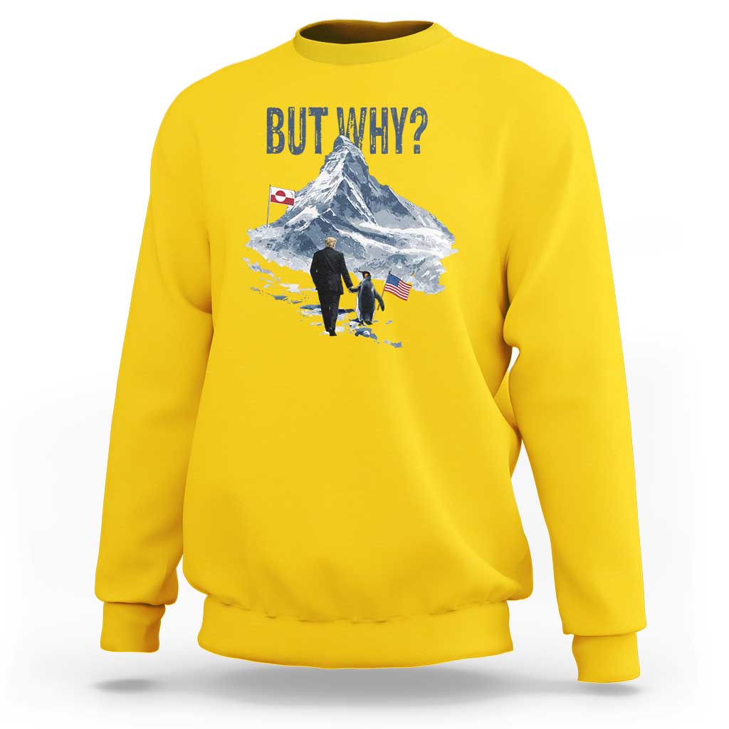 But Why Penguin Sweatshirt Head Towards The Mountains Penguin Meme
