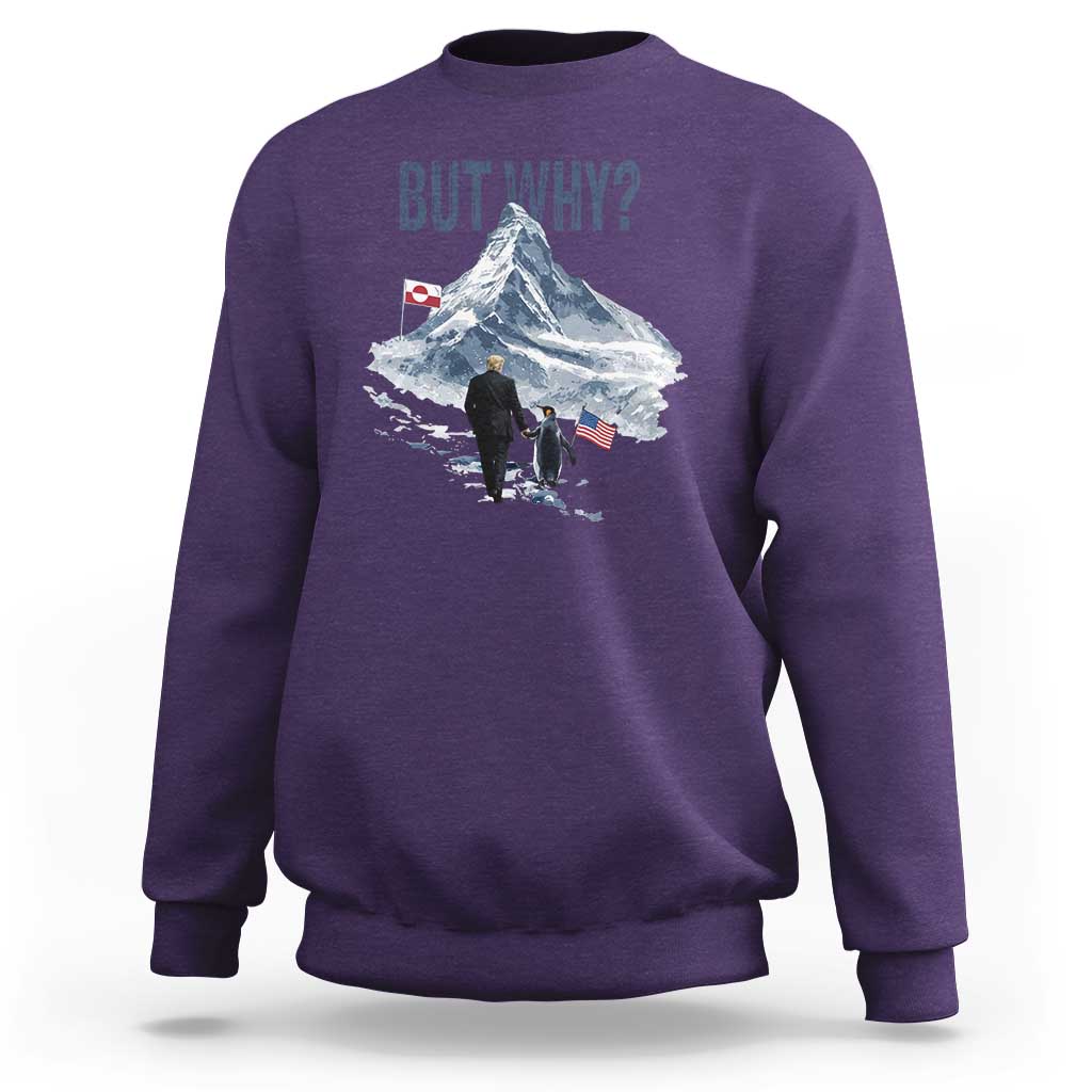 But Why Penguin Sweatshirt Head Towards The Mountains Penguin Meme
