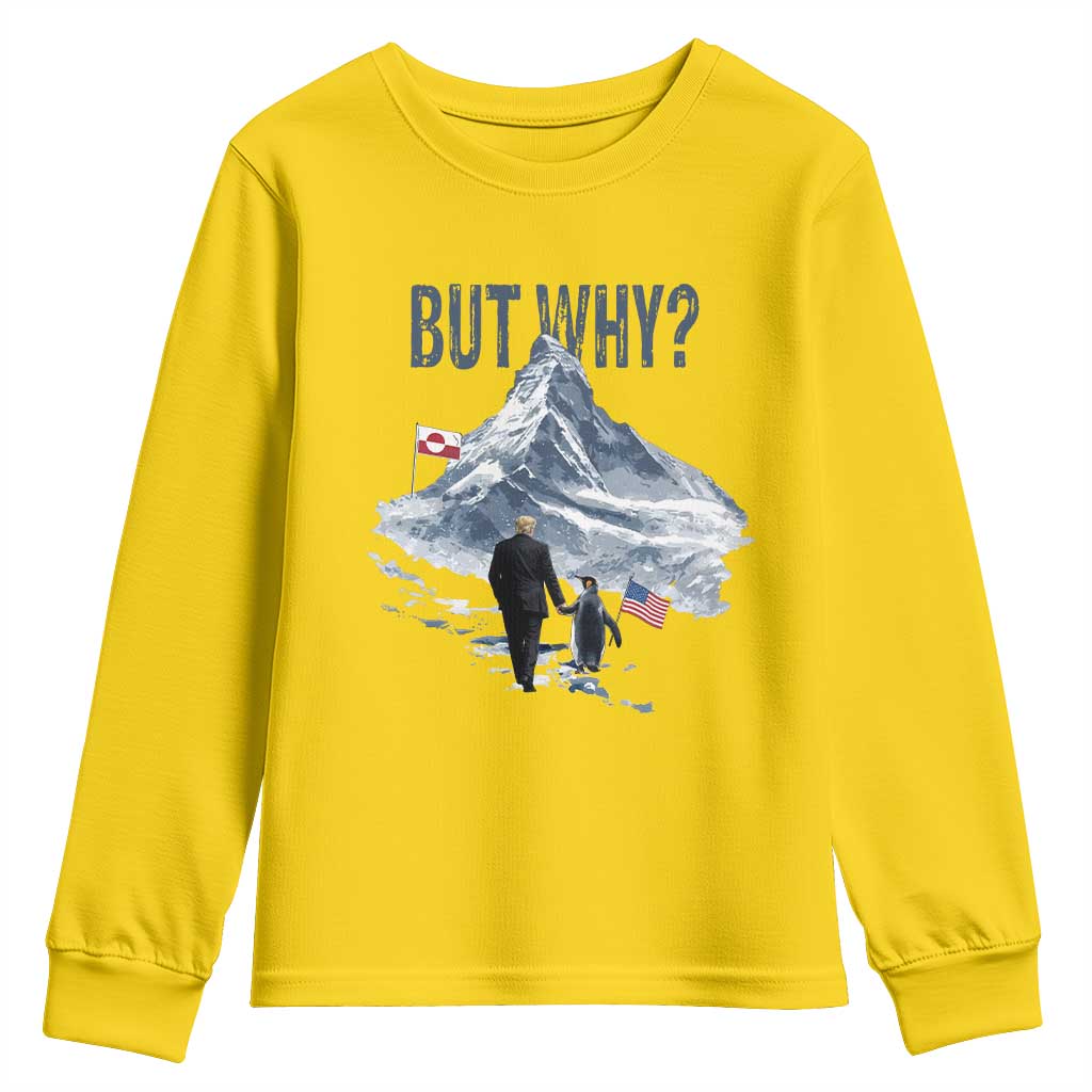 But Why Penguin Youth Sweatshirt Head Towards The Mountains Penguin Meme