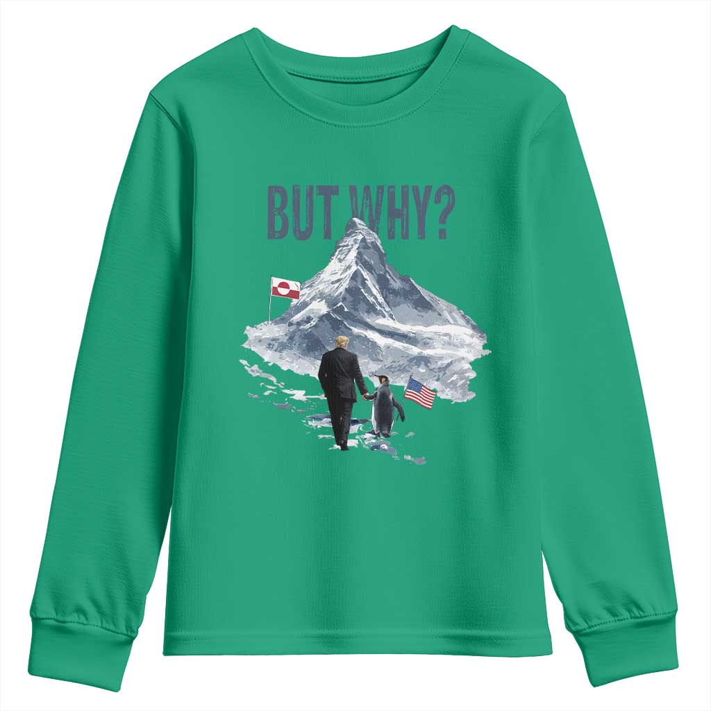 But Why Penguin Youth Sweatshirt Head Towards The Mountains Penguin Meme