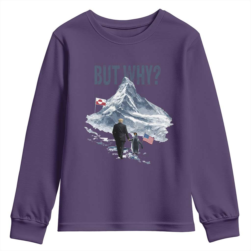 But Why Penguin Youth Sweatshirt Head Towards The Mountains Penguin Meme