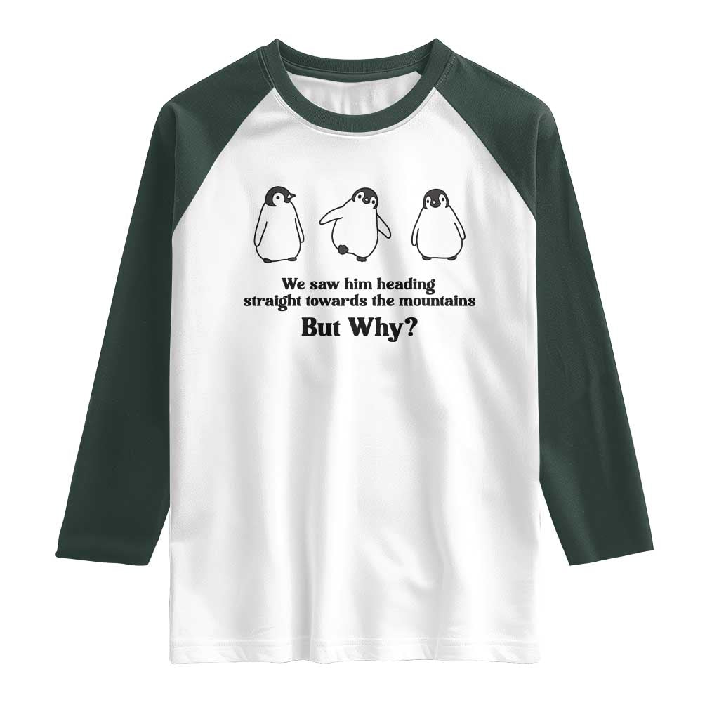 But Why Penguin Raglan Shirt Trendy Nihilist Sad Penguin Mountains Meme