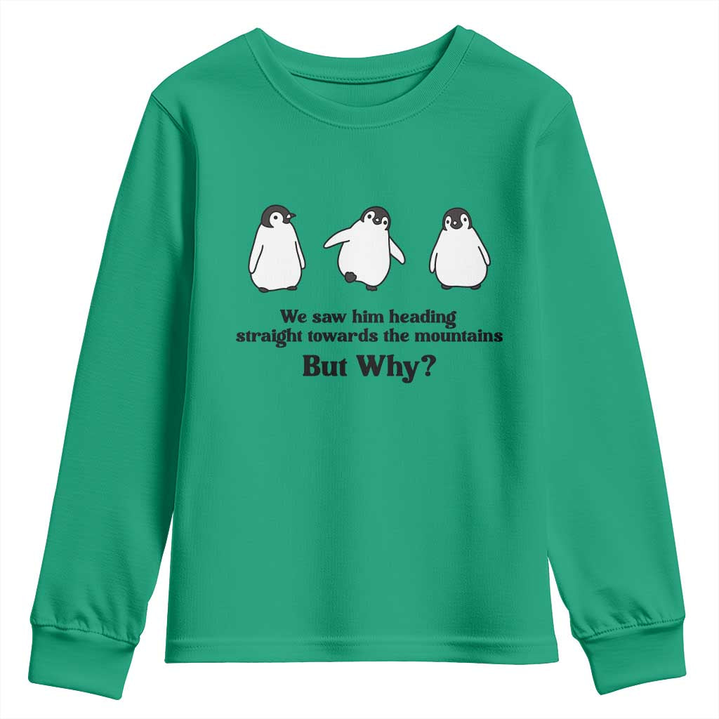 But Why Penguin Youth Sweatshirt Trendy Nihilist Sad Penguin Mountains Meme