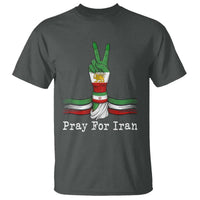 Free Iran Support T Shirt Pray For Iran