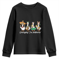 Everyday I'm Motherin Youth Sweatshirt Cinco De Mayo Silly Goose Fiesta