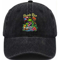 Hispanic Heritage Month Washed Cotton Baseball Cap Taino Boricua Coqui Frog Puerto Rico