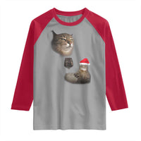 Funny Cat Christmas Raglan Shirt Cats Drinking Wine Oddly Specific Meme - Wonder Print Shop