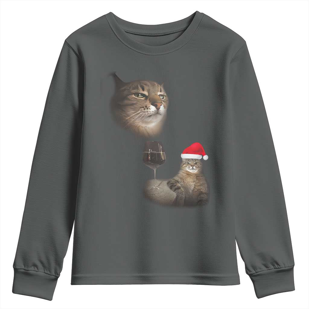 Funny Cat Christmas Youth Sweatshirt Cats Drinking Wine Oddly Specific Meme - Wonder Print Shop