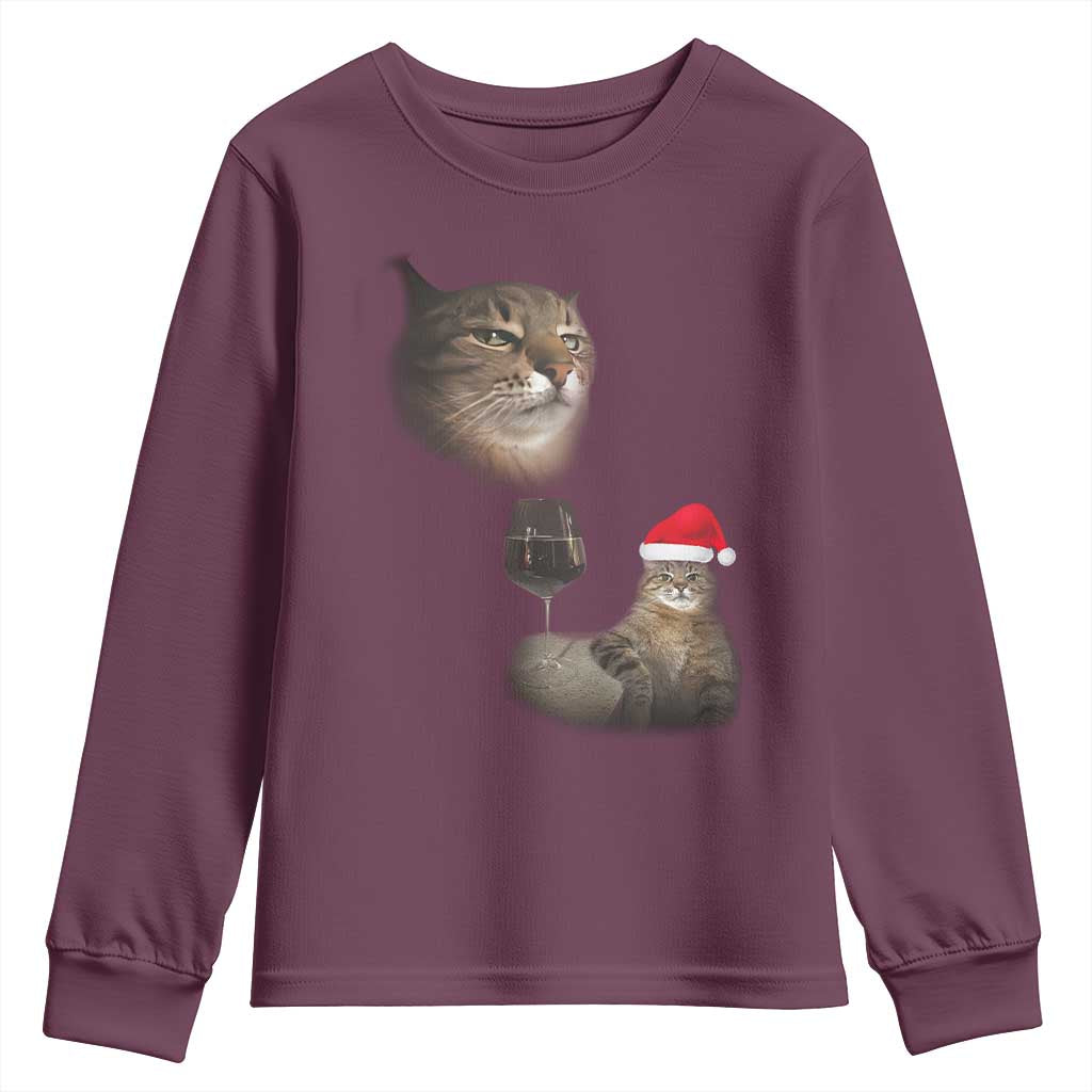 Funny Cat Christmas Youth Sweatshirt Cats Drinking Wine Oddly Specific Meme - Wonder Print Shop