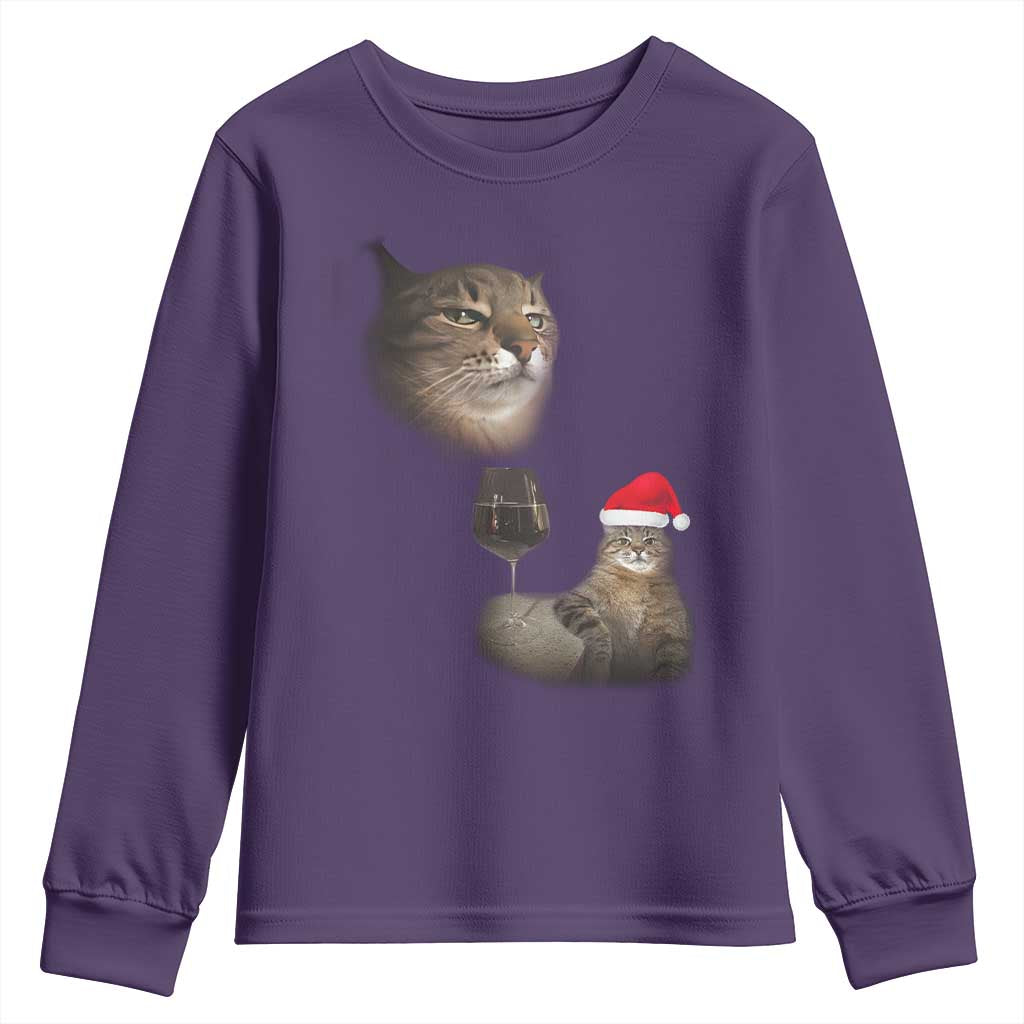 Funny Cat Christmas Youth Sweatshirt Cats Drinking Wine Oddly Specific Meme - Wonder Print Shop