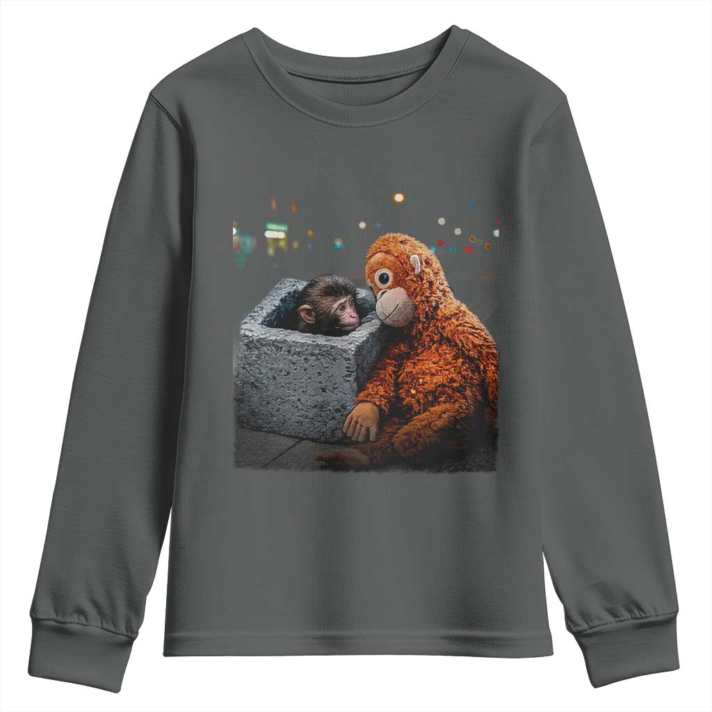 Punch Mokey Youth Sweatshirt Viral Trend Baby Monkey Streets Meme