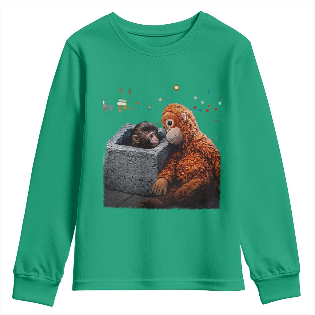 Punch Mokey Youth Sweatshirt Viral Trend Baby Monkey Streets Meme