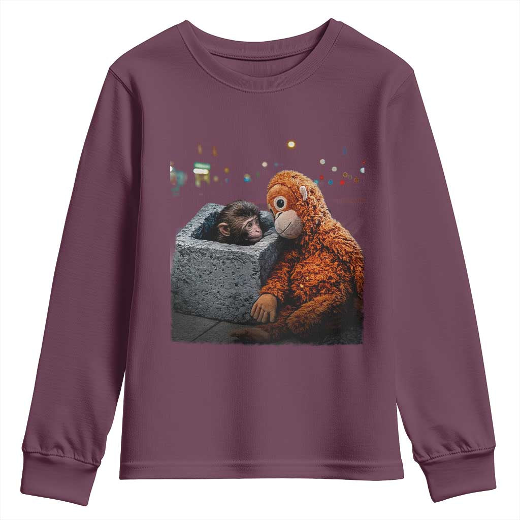 Punch Mokey Youth Sweatshirt Viral Trend Baby Monkey Streets Meme