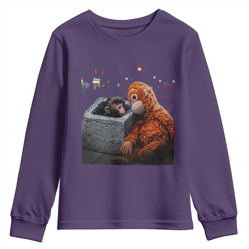 Punch Mokey Youth Sweatshirt Viral Trend Baby Monkey Streets Meme