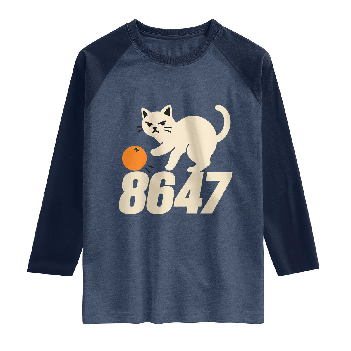 8647 FDT Raglan Shirt Funny Cat Political Meme