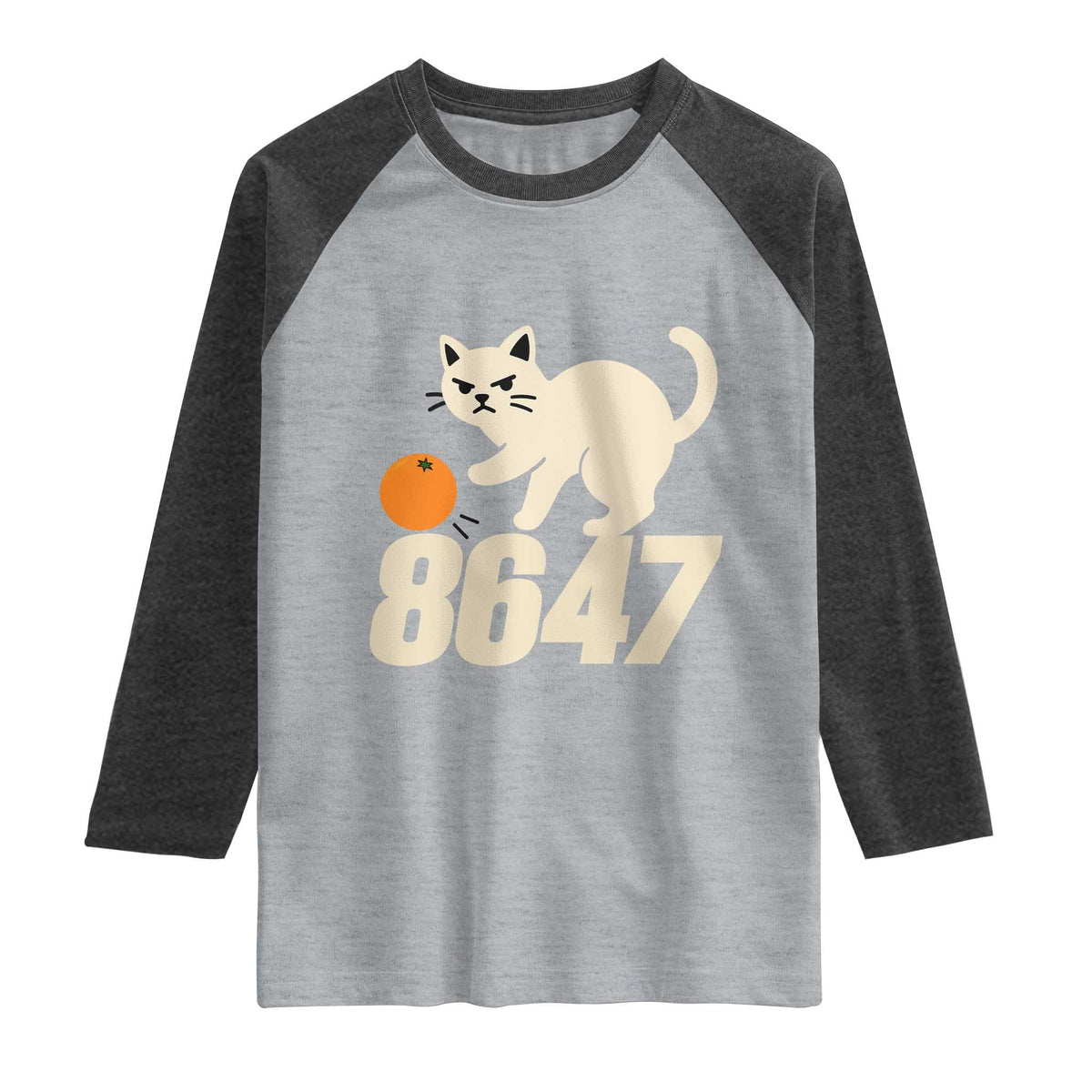 8647 FDT Raglan Shirt Funny Cat Political Meme