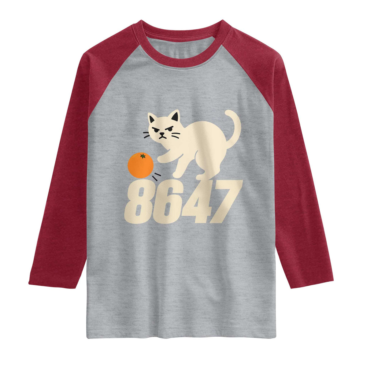 8647 FDT Raglan Shirt Funny Cat Political Meme