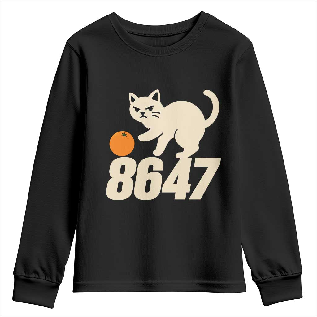 8647 FDT Youth Sweatshirt Funny Cat Political Meme
