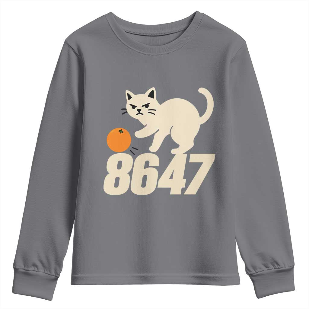 8647 FDT Youth Sweatshirt Funny Cat Political Meme
