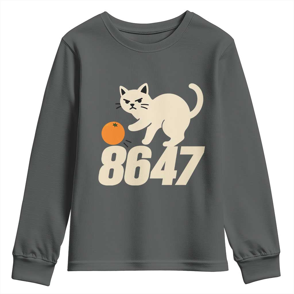 8647 FDT Youth Sweatshirt Funny Cat Political Meme