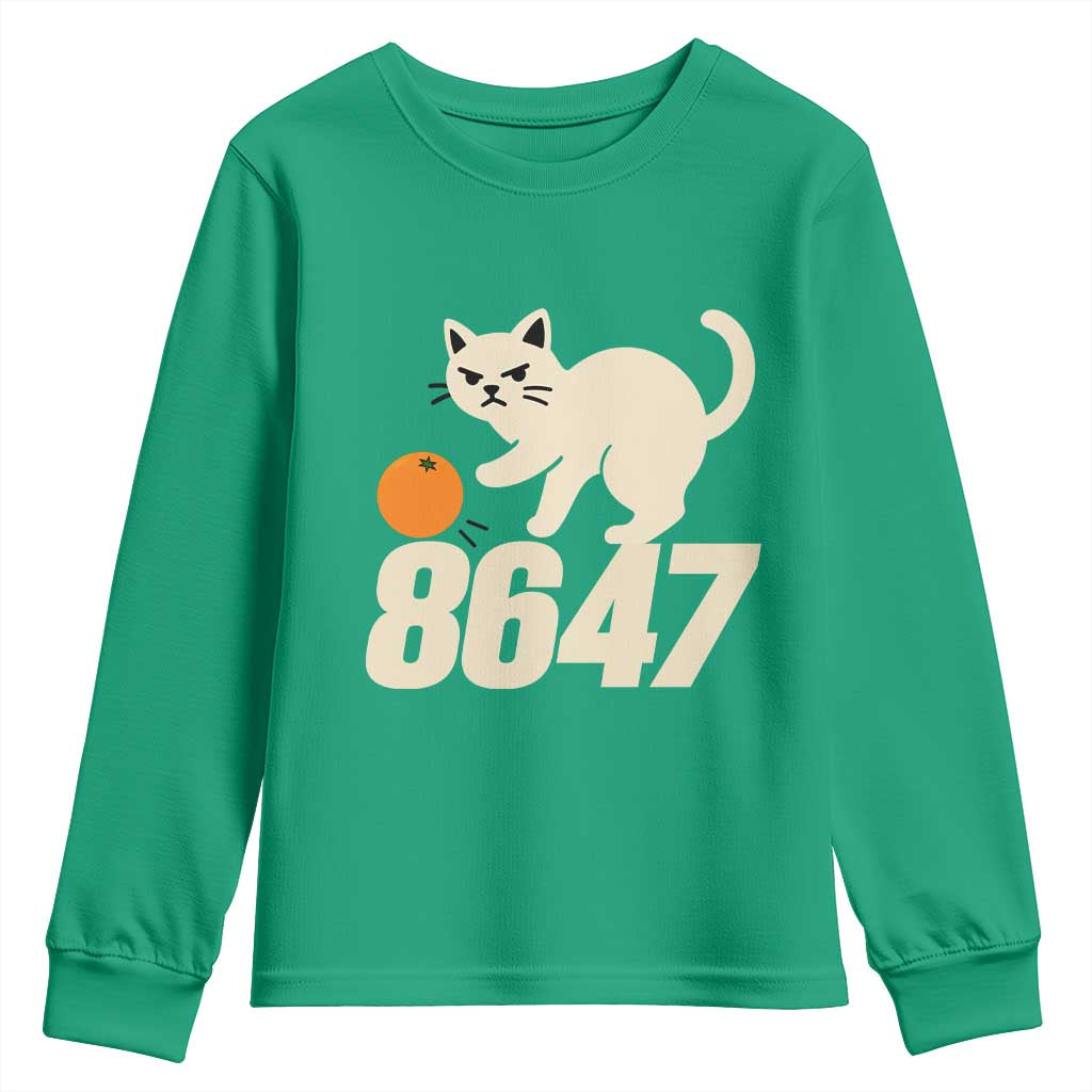 8647 FDT Youth Sweatshirt Funny Cat Political Meme