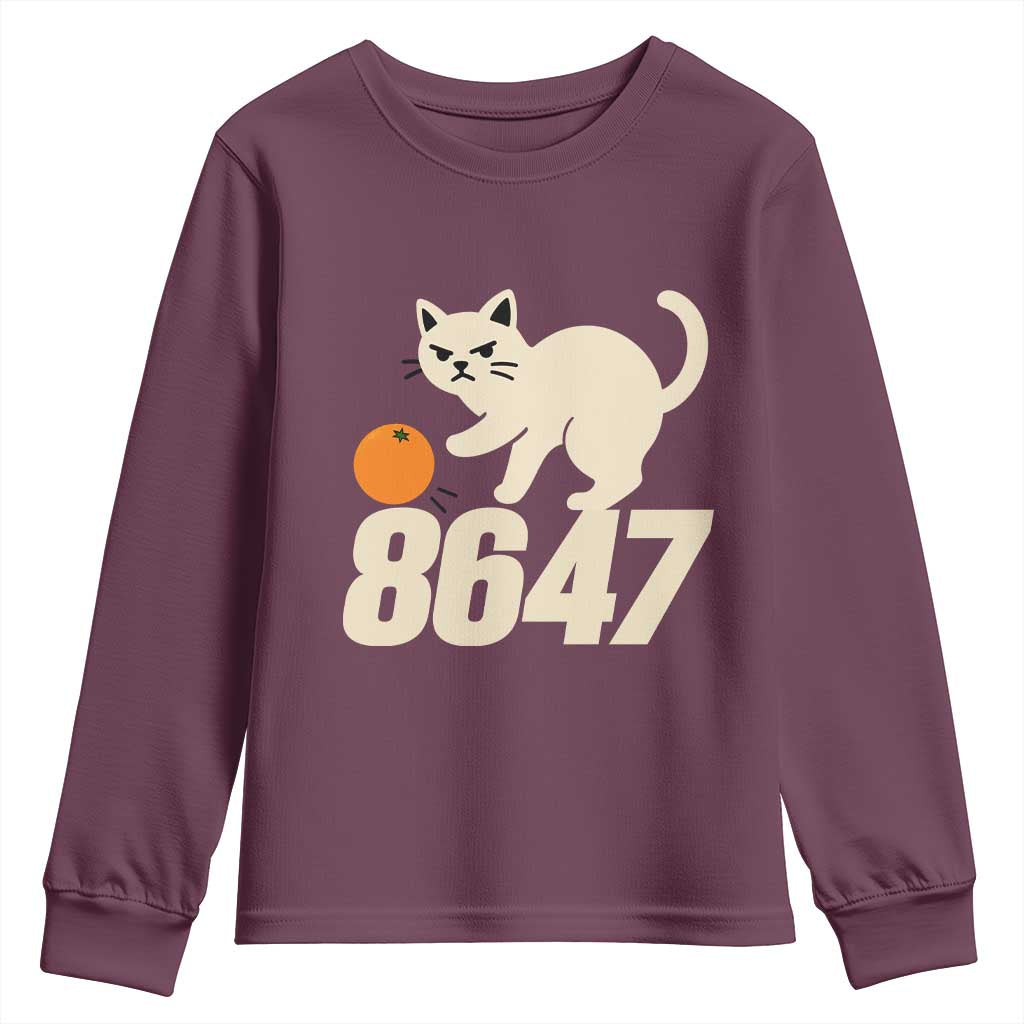 8647 FDT Youth Sweatshirt Funny Cat Political Meme
