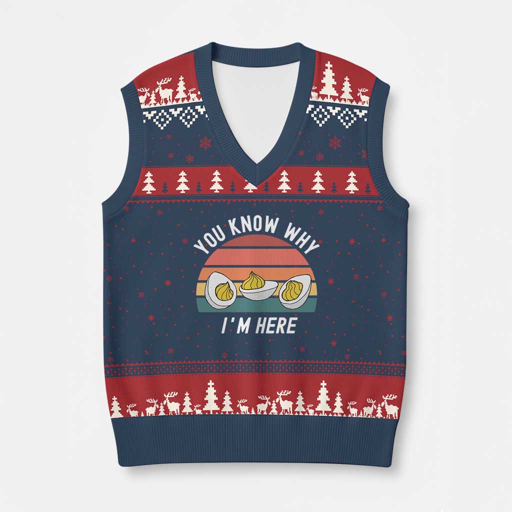 Funny Thanksgiving Dinner V-Neck Knit Sweater Vest You Know Why I Am Here - Wonder Print Shop