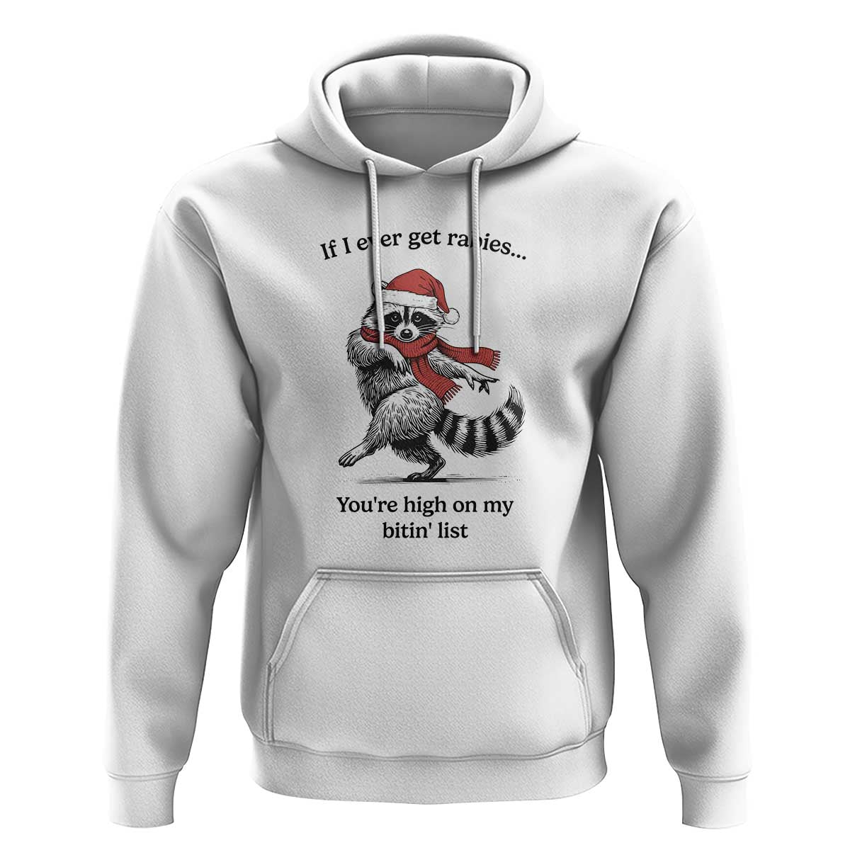 Funny Racoon Christmas Hoodie If I Ever Get Rabies You're High On My Bitting List - Wonder Print Shop