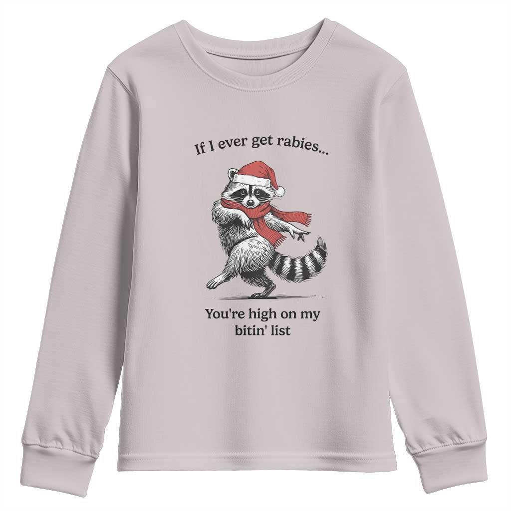 Funny Racoon Christmas Youth Sweatshirt If I Ever Get Rabies You're High On My Bitting List - Wonder Print Shop