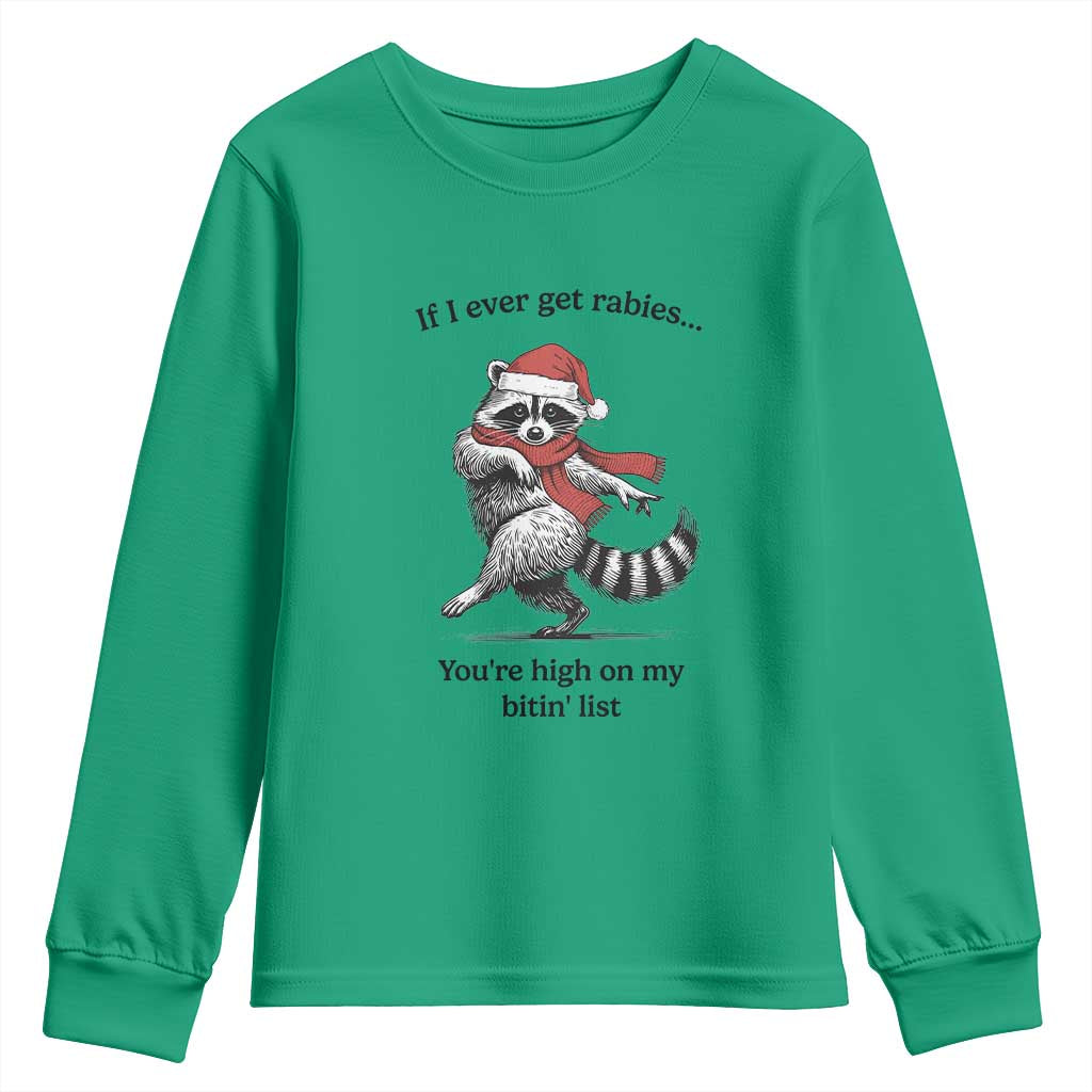 Funny Racoon Christmas Youth Sweatshirt If I Ever Get Rabies You're High On My Bitting List - Wonder Print Shop
