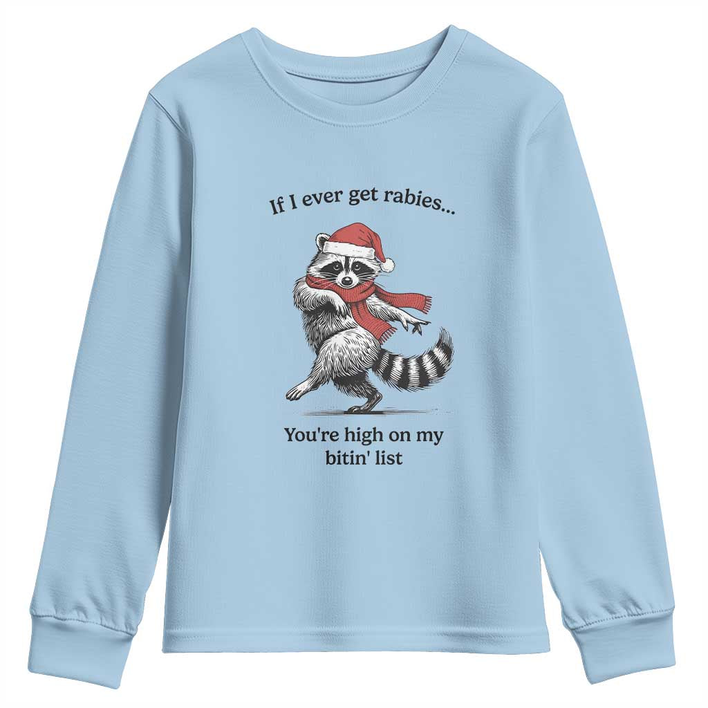 Funny Racoon Christmas Youth Sweatshirt If I Ever Get Rabies You're High On My Bitting List - Wonder Print Shop