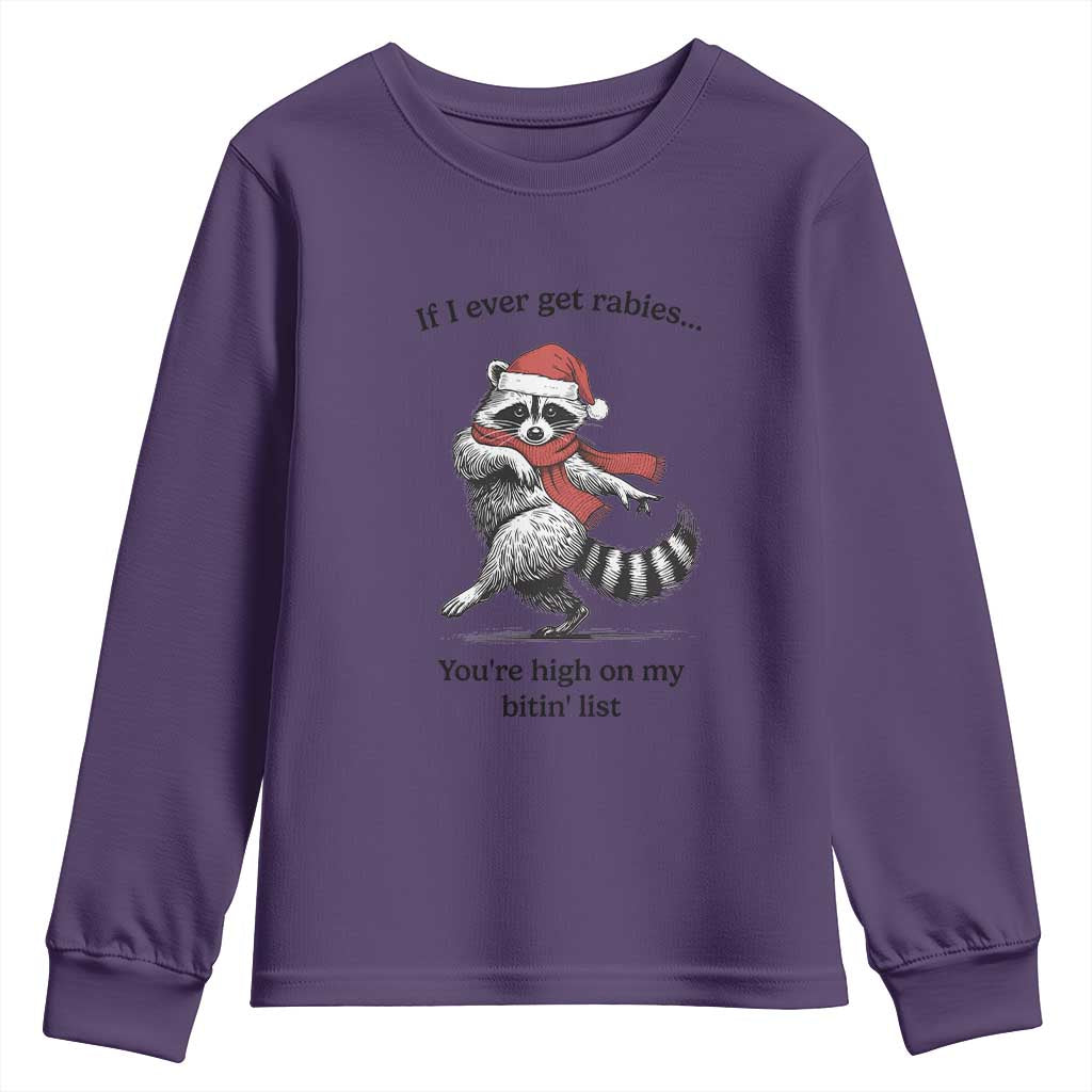 Funny Racoon Christmas Youth Sweatshirt If I Ever Get Rabies You're High On My Bitting List - Wonder Print Shop