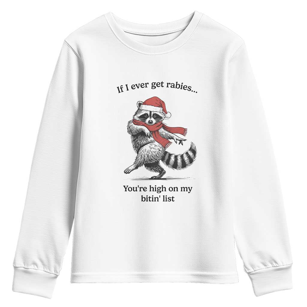 Funny Racoon Christmas Youth Sweatshirt If I Ever Get Rabies You're High On My Bitting List - Wonder Print Shop