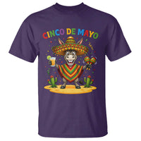Cinco de Mayo Donkey Mexican Fiesta T Shirt