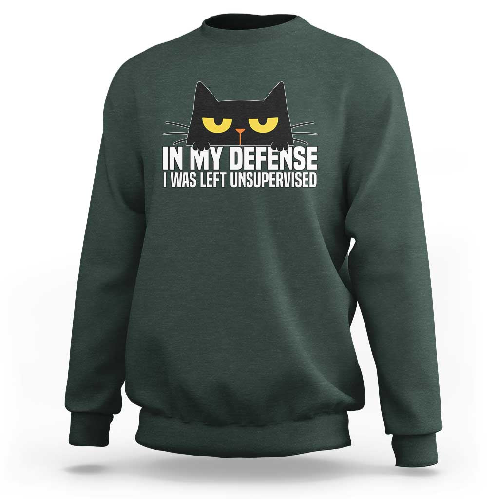 Sarcastic Black Cat Sweatshirt In My Defense I Was Left Unsupervised - Wonder Print Shop