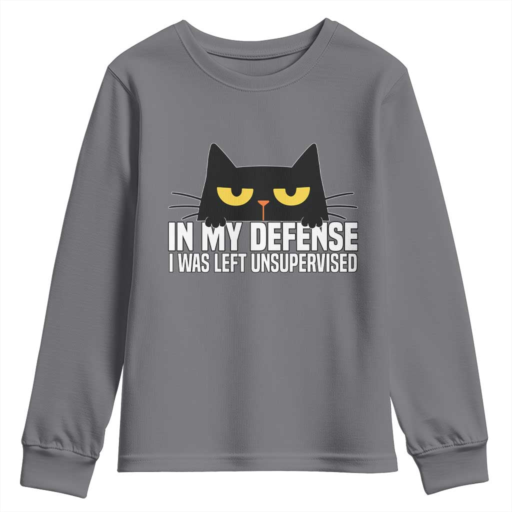 Sarcastic Black Cat Youth Sweatshirt In My Defense I Was Left Unsupervised - Wonder Print Shop