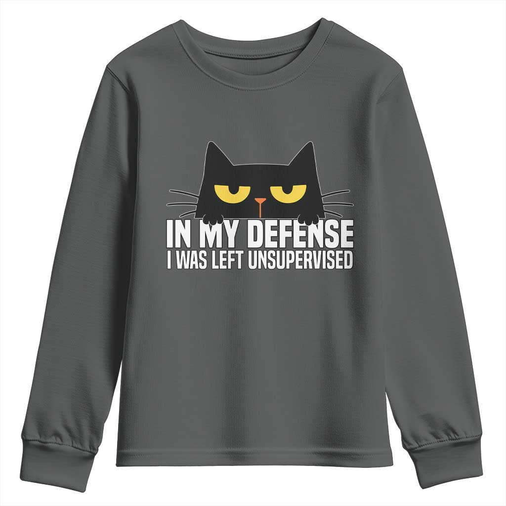 Sarcastic Black Cat Youth Sweatshirt In My Defense I Was Left Unsupervised - Wonder Print Shop