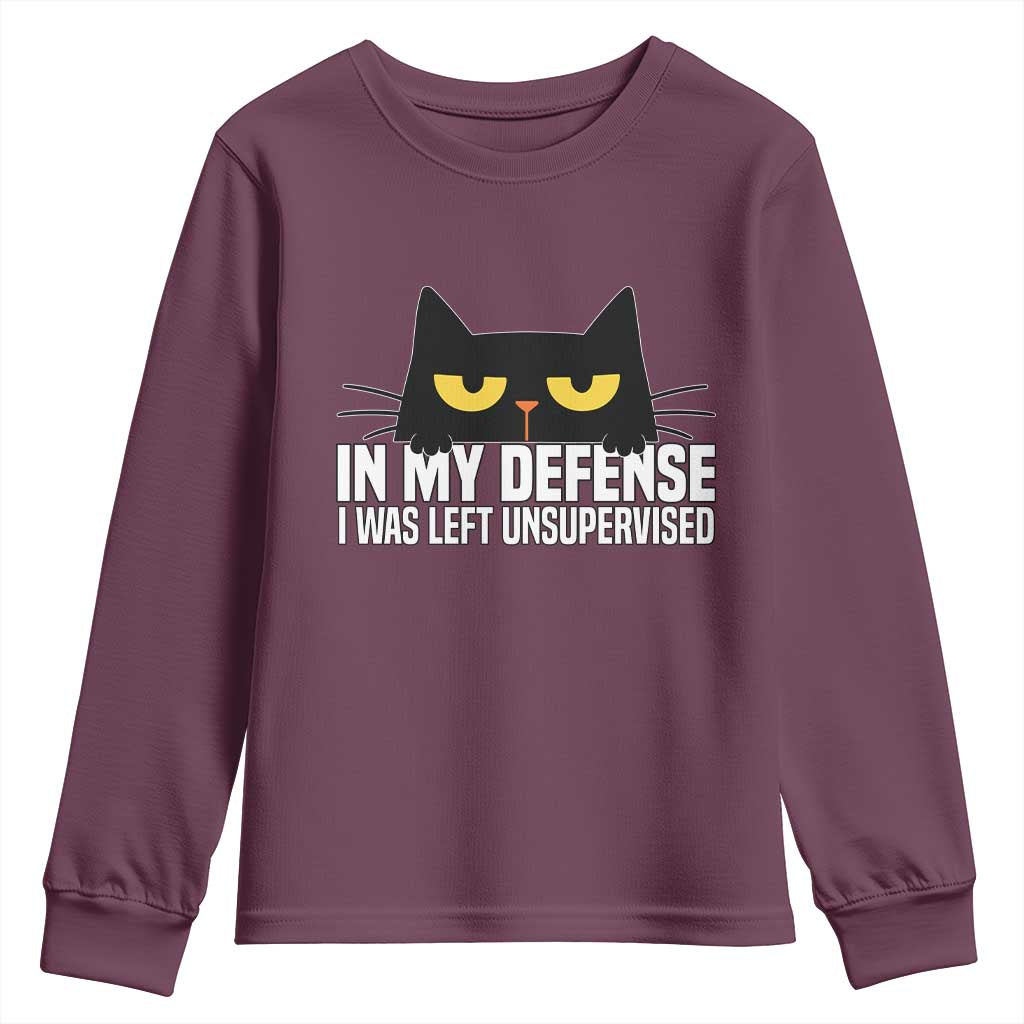 Sarcastic Black Cat Youth Sweatshirt In My Defense I Was Left Unsupervised - Wonder Print Shop
