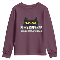 Sarcastic Black Cat Youth Sweatshirt In My Defense I Was Left Unsupervised - Wonder Print Shop