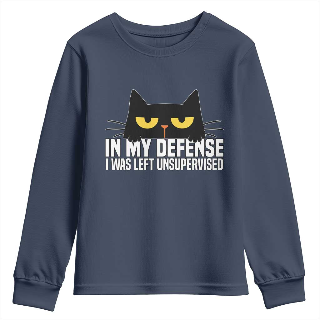 Sarcastic Black Cat Youth Sweatshirt In My Defense I Was Left Unsupervised - Wonder Print Shop